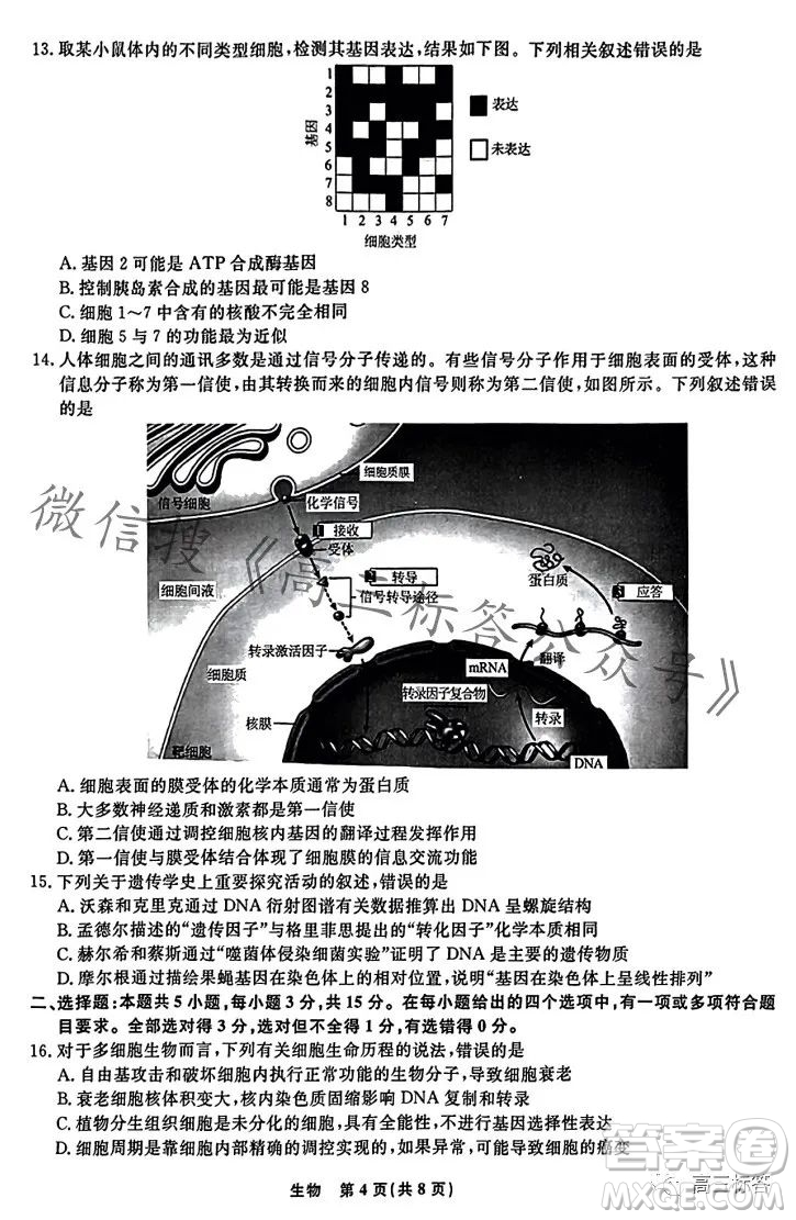 遼寧省名校聯(lián)盟2023年高三10月份聯(lián)合考試生物試卷答案