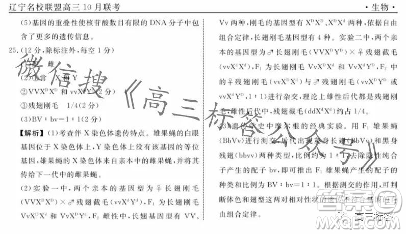 遼寧省名校聯(lián)盟2023年高三10月份聯(lián)合考試生物試卷答案