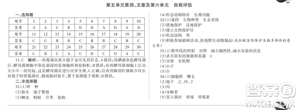 學(xué)習(xí)方法報2023-2024學(xué)年九年級生物人教初中會考廣東版①-④期小報參考答案