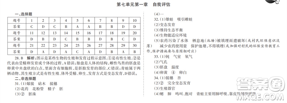 學(xué)習(xí)方法報2023-2024學(xué)年九年級生物人教初中會考廣東版①-④期小報參考答案