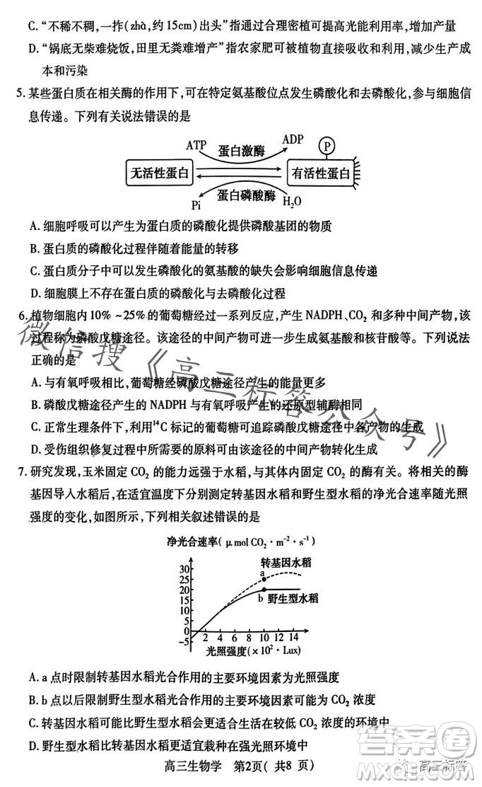 平許濟(jì)洛2023-2024學(xué)年高三第一次質(zhì)量檢測(cè)生物試卷答案