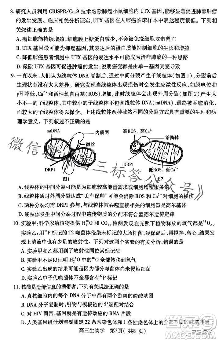 平許濟(jì)洛2023-2024學(xué)年高三第一次質(zhì)量檢測(cè)生物試卷答案