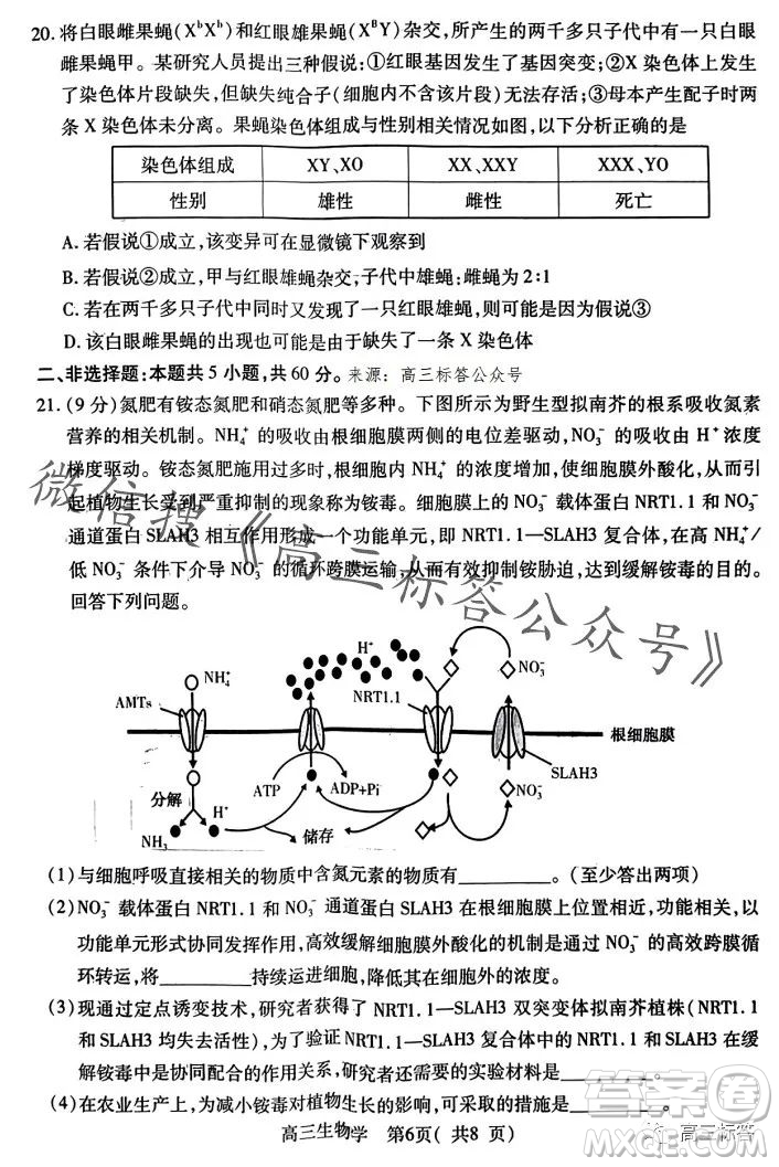 平許濟(jì)洛2023-2024學(xué)年高三第一次質(zhì)量檢測(cè)生物試卷答案