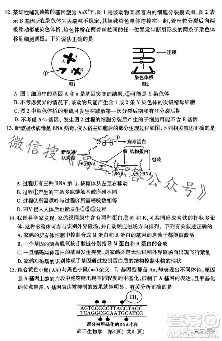 平許濟(jì)洛2023-2024學(xué)年高三第一次質(zhì)量檢測(cè)生物試卷答案