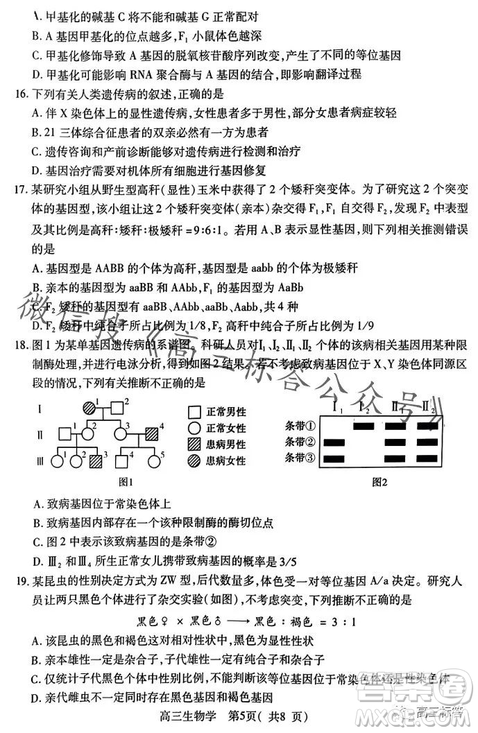 平許濟(jì)洛2023-2024學(xué)年高三第一次質(zhì)量檢測(cè)生物試卷答案