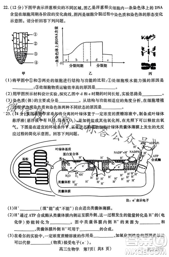 平許濟(jì)洛2023-2024學(xué)年高三第一次質(zhì)量檢測(cè)生物試卷答案