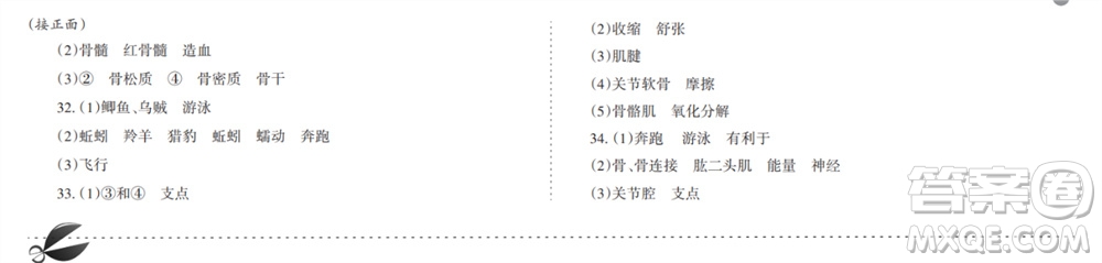 學(xué)習(xí)方法報(bào)2023-2024學(xué)年九年級(jí)生物北師大初中會(huì)考①-⑥期小報(bào)參考答案