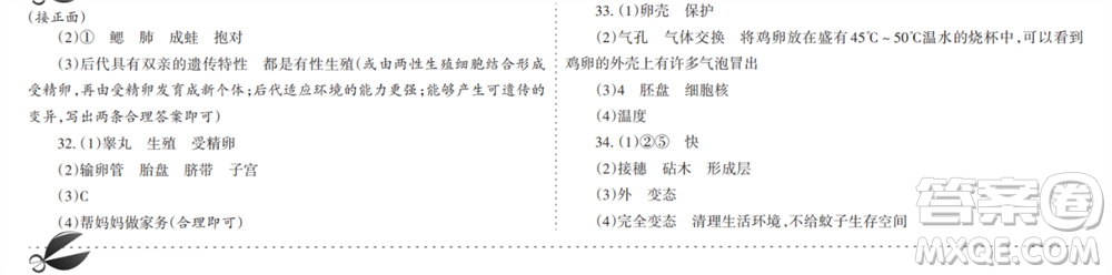 學(xué)習(xí)方法報(bào)2023-2024學(xué)年九年級(jí)生物北師大初中會(huì)考①-⑥期小報(bào)參考答案