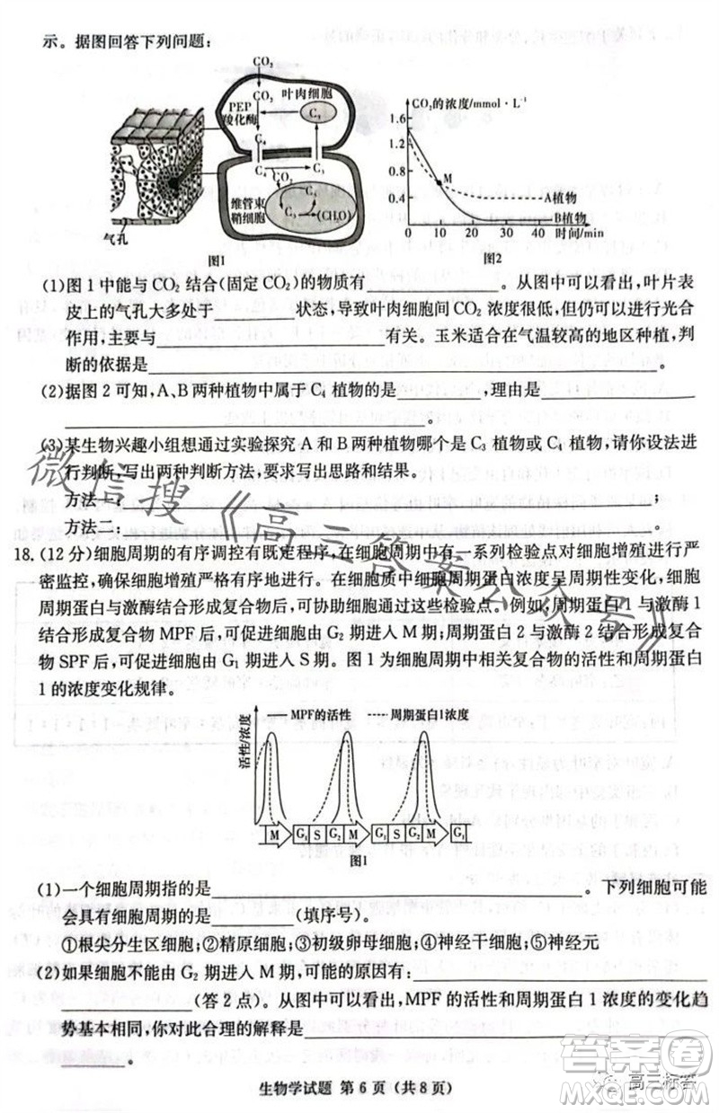 炎德英才名校聯(lián)考聯(lián)合體2024屆高三第三次聯(lián)考生物試卷答案