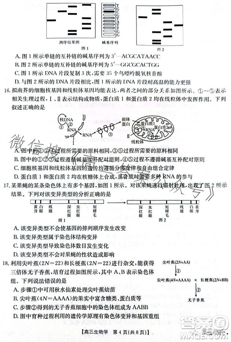 2024屆河南金太陽高三10月26日24-97C聯(lián)考生物試卷答案