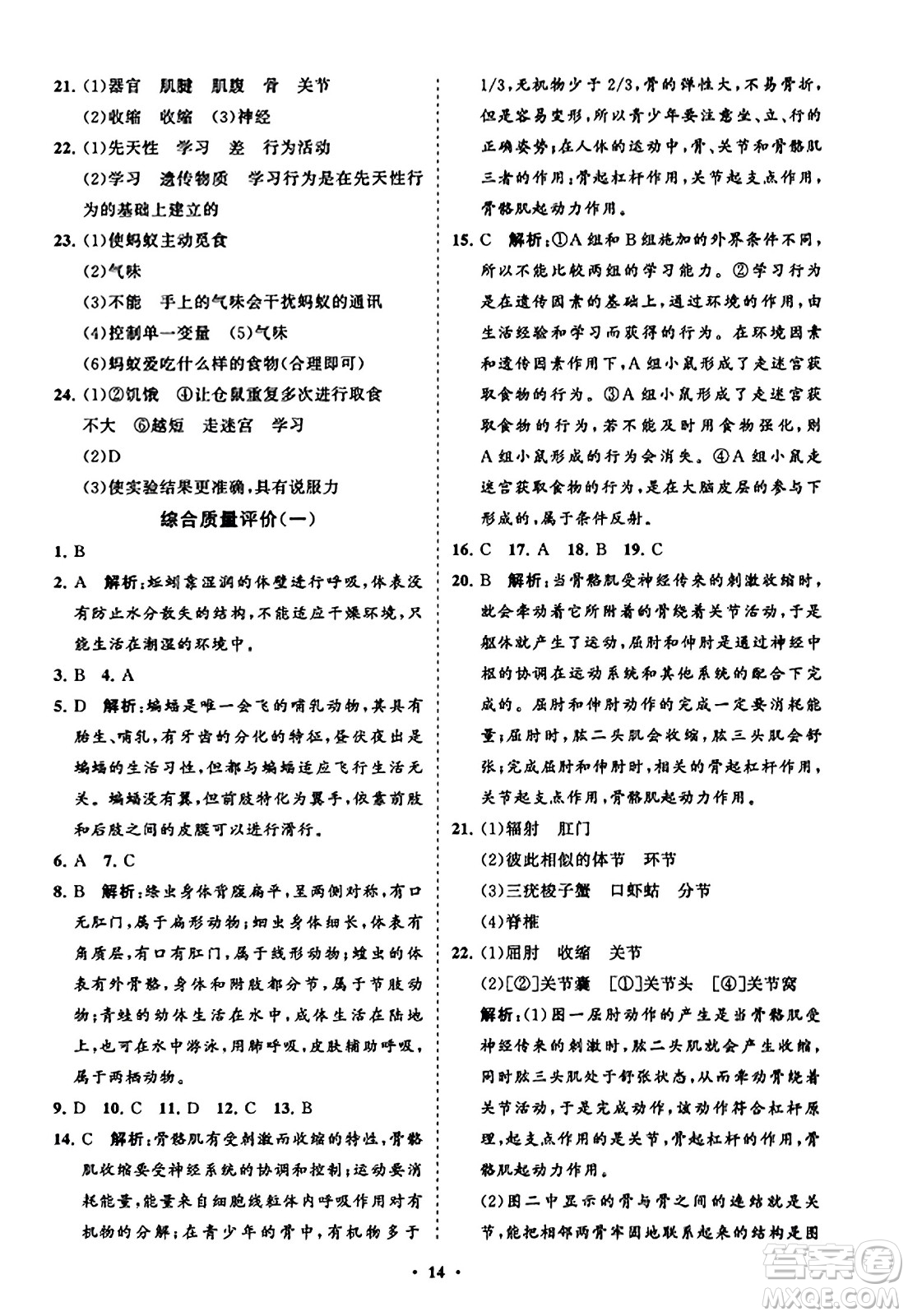 山東教育出版社2023年秋初中同步練習(xí)冊(cè)分層卷八年級(jí)生物學(xué)上冊(cè)人教版答案