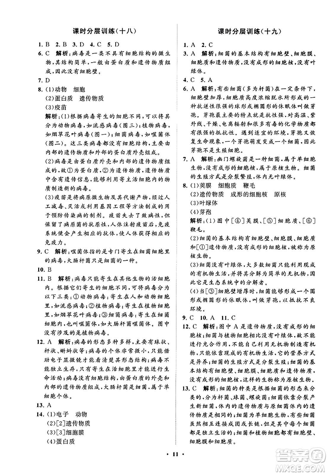 山東教育出版社2023年秋初中同步練習(xí)冊(cè)分層卷七年級(jí)生物學(xué)上冊(cè)通用版答案