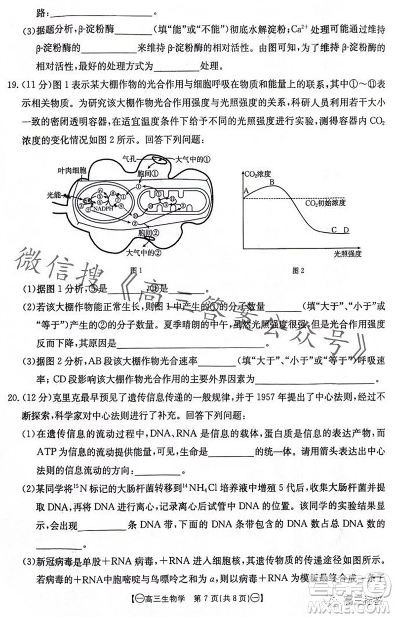 2024屆江西金太陽聯(lián)考高三10月26日生物試卷答案