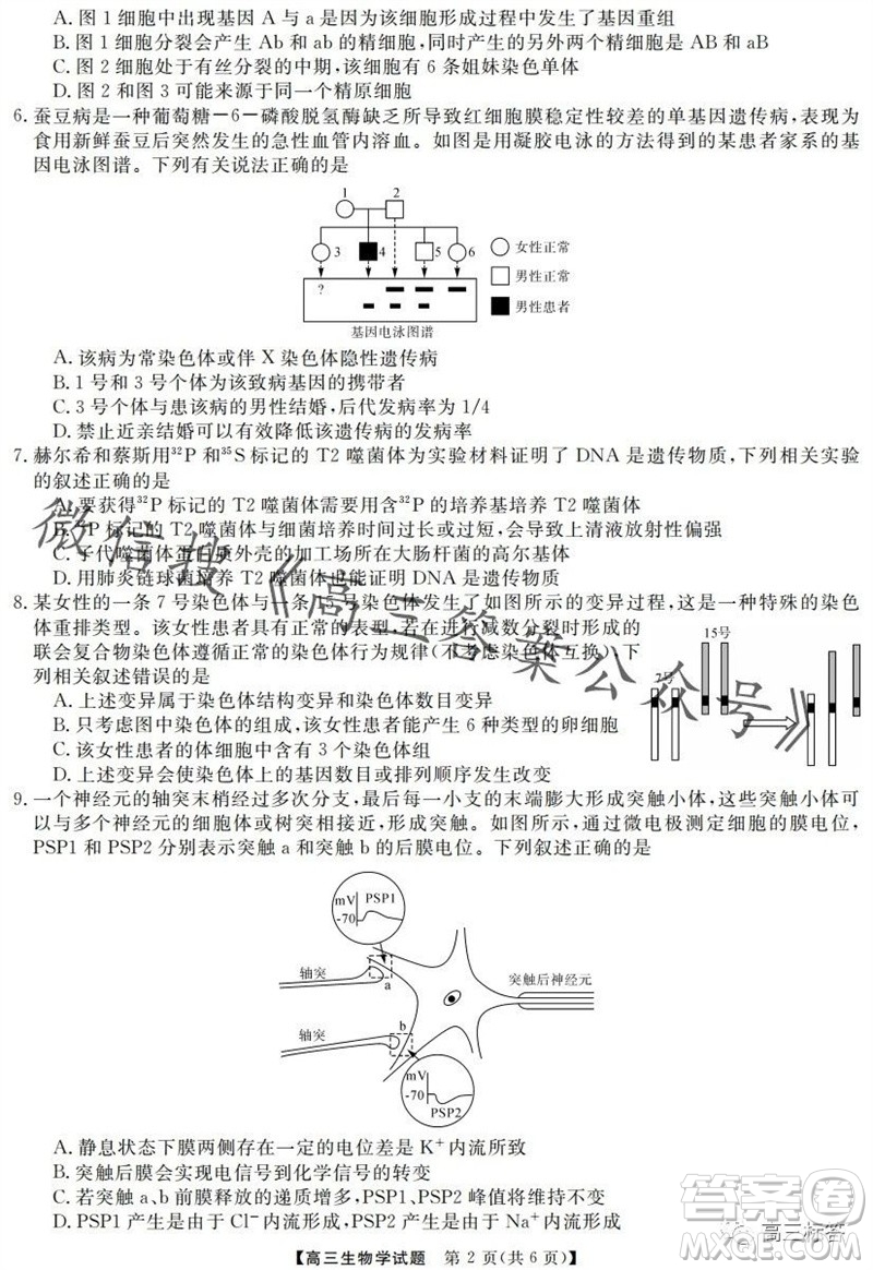 三湘名校教育聯(lián)盟2024屆高三10月大聯(lián)考生物試題及答案