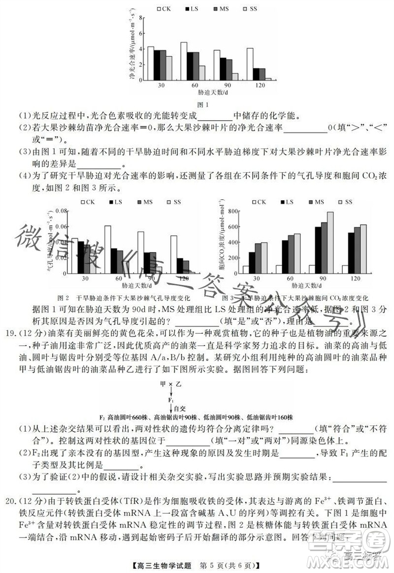 三湘名校教育聯(lián)盟2024屆高三10月大聯(lián)考生物試題及答案