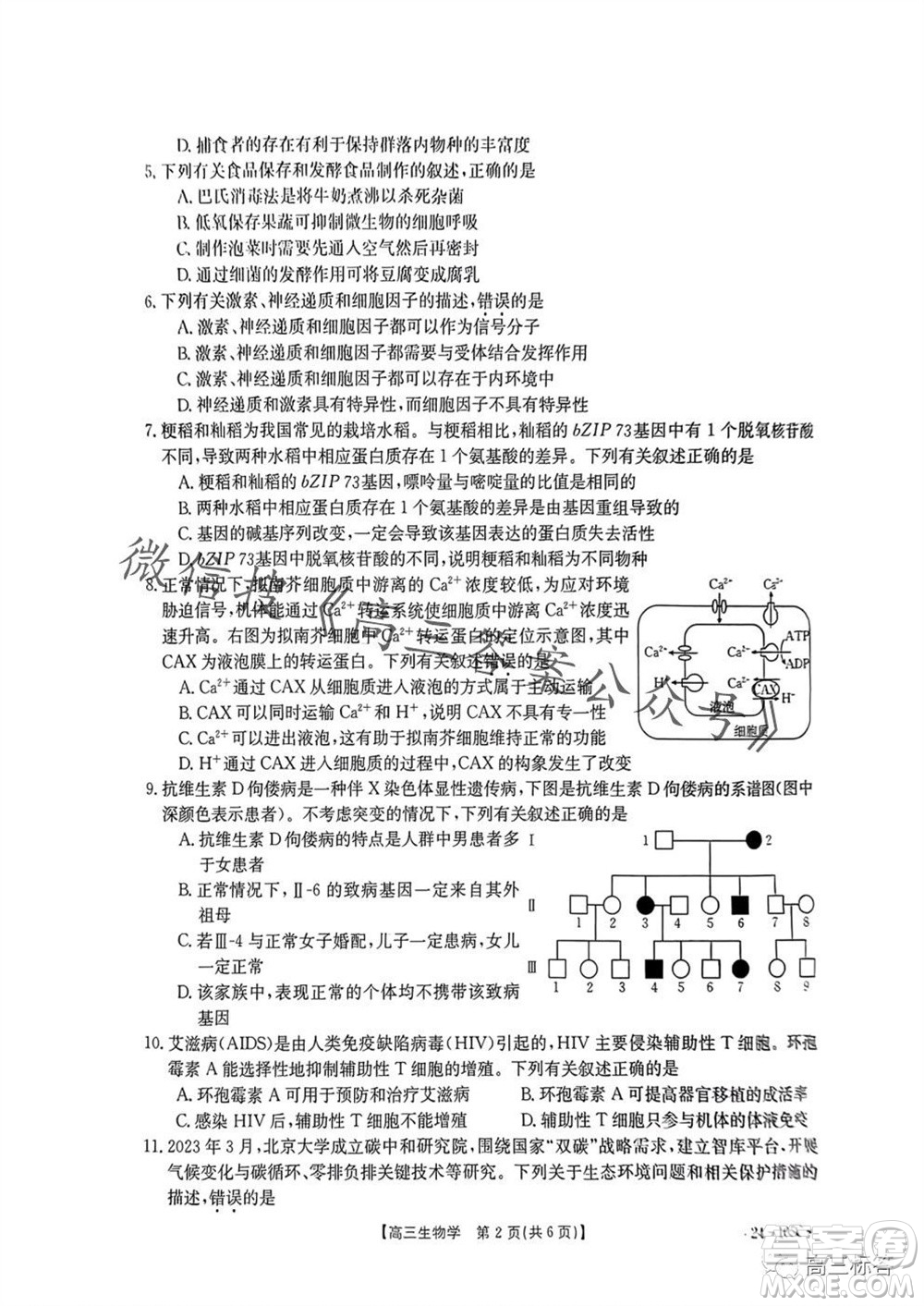 湛江市2024屆高三10月調(diào)研測試24-105C生物試卷答案