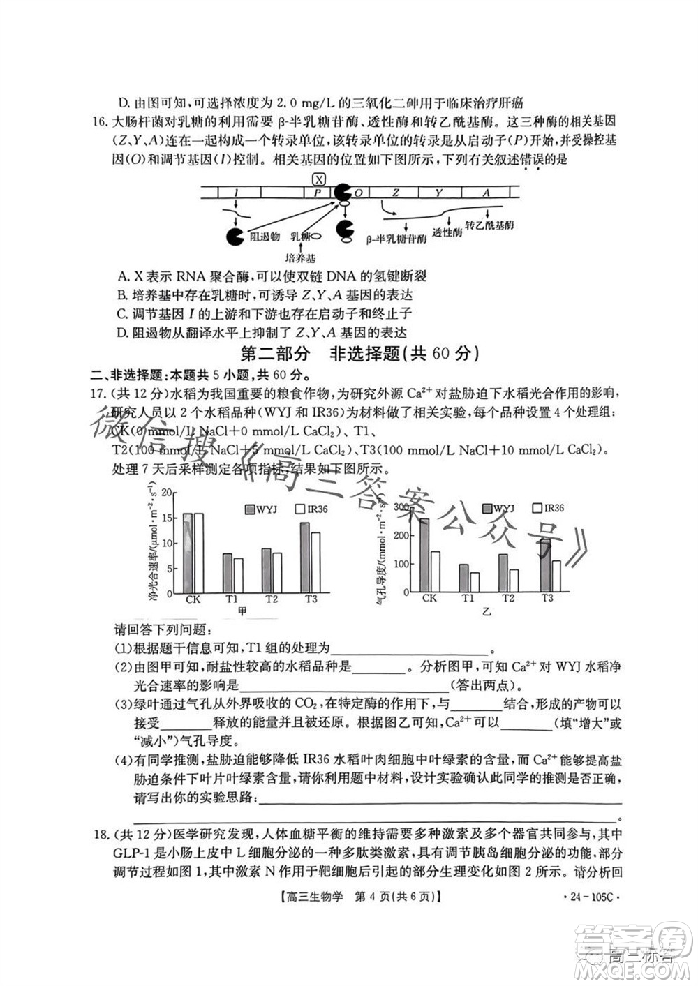 湛江市2024屆高三10月調(diào)研測試24-105C生物試卷答案