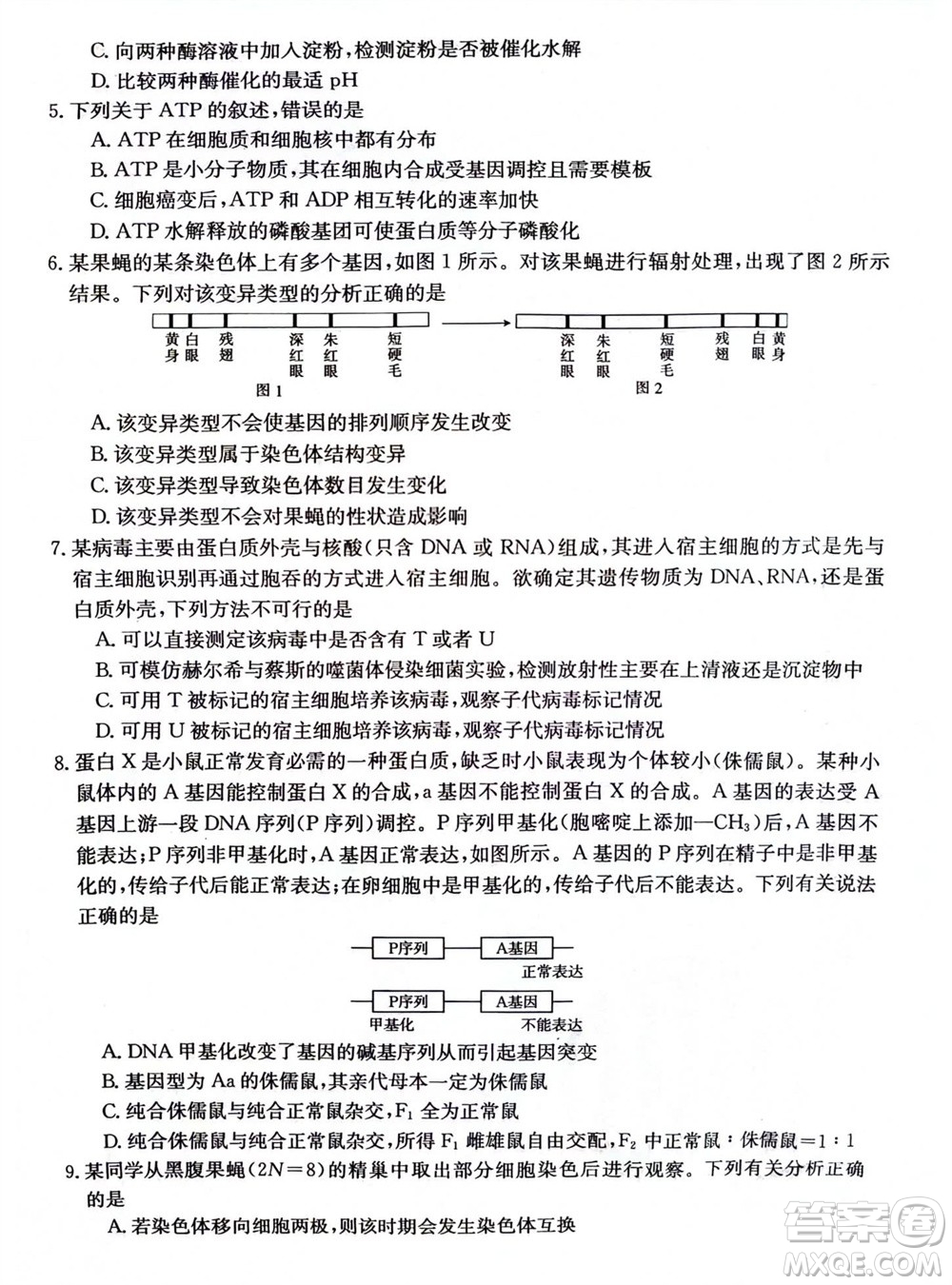 2024屆貴州金太陽高三10月26日24-111C聯(lián)考生物試卷答案