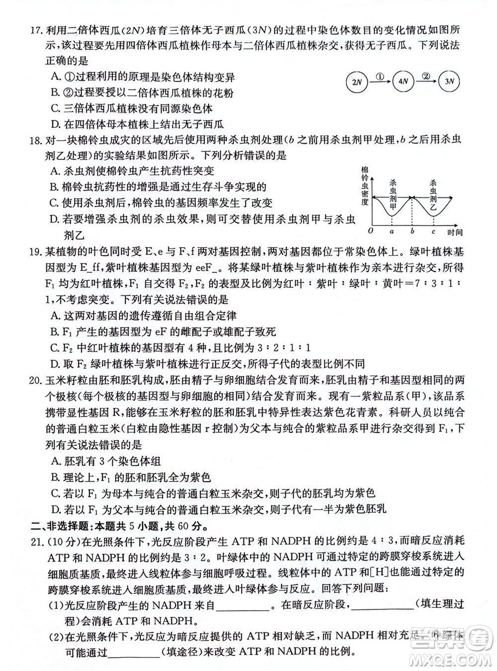 2024屆貴州金太陽高三10月26日24-111C聯(lián)考生物試卷答案