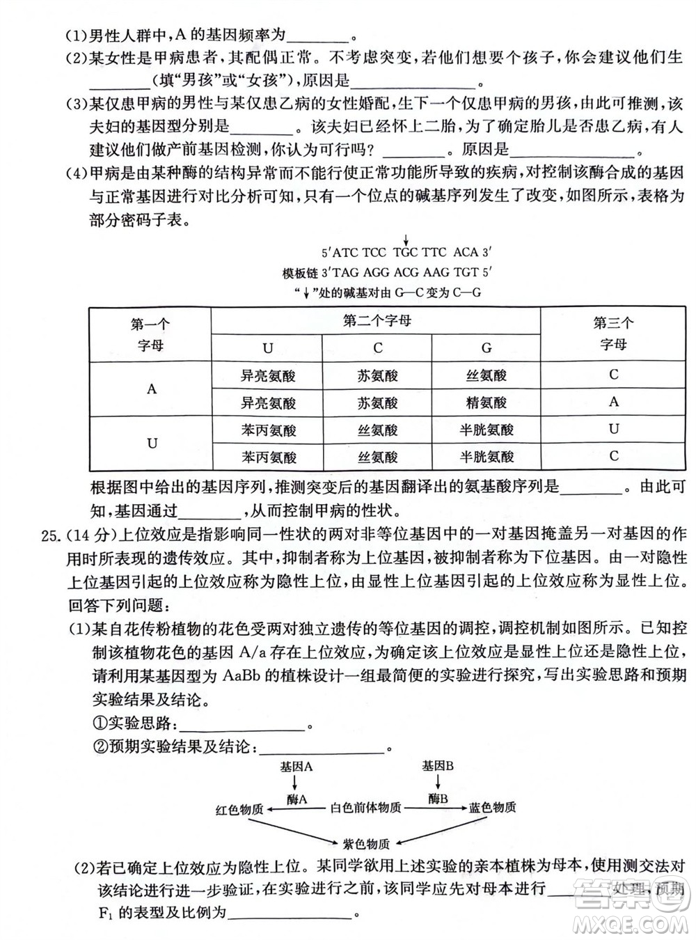 2024屆貴州金太陽高三10月26日24-111C聯(lián)考生物試卷答案