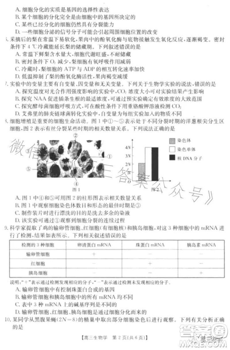 2024屆河北高三10月份質(zhì)檢聯(lián)盟期中考試24-116C生物試卷答案