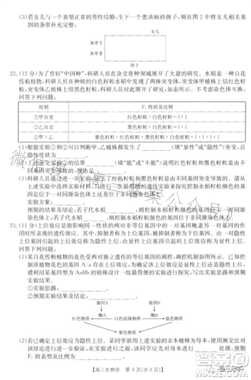 2024屆河北高三10月份質(zhì)檢聯(lián)盟期中考試24-116C生物試卷答案