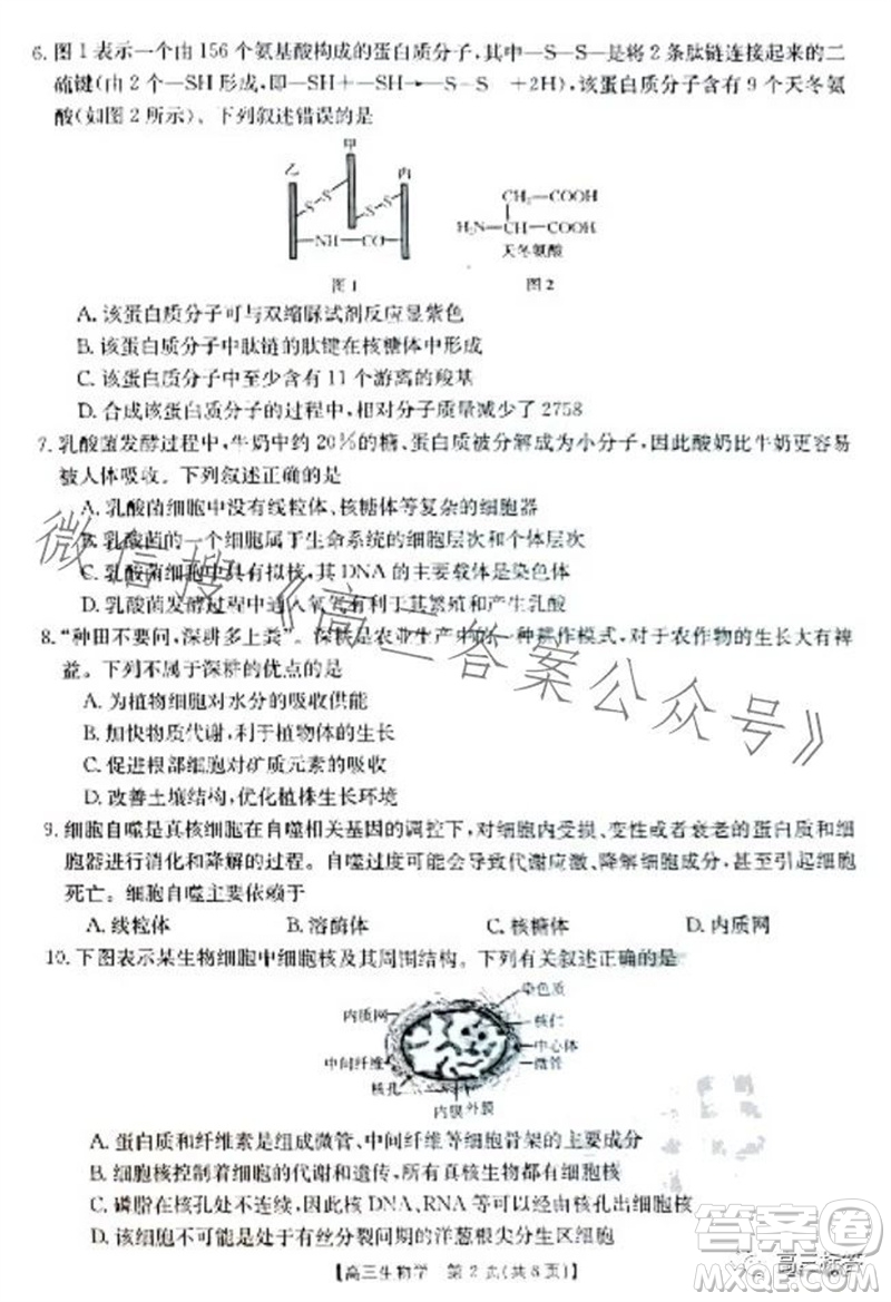 2024屆新疆金太陽聯(lián)考高三10月30日24-46C生物試卷答案