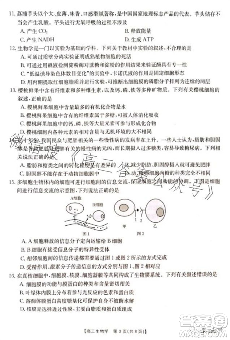 2024屆新疆金太陽聯(lián)考高三10月30日24-46C生物試卷答案