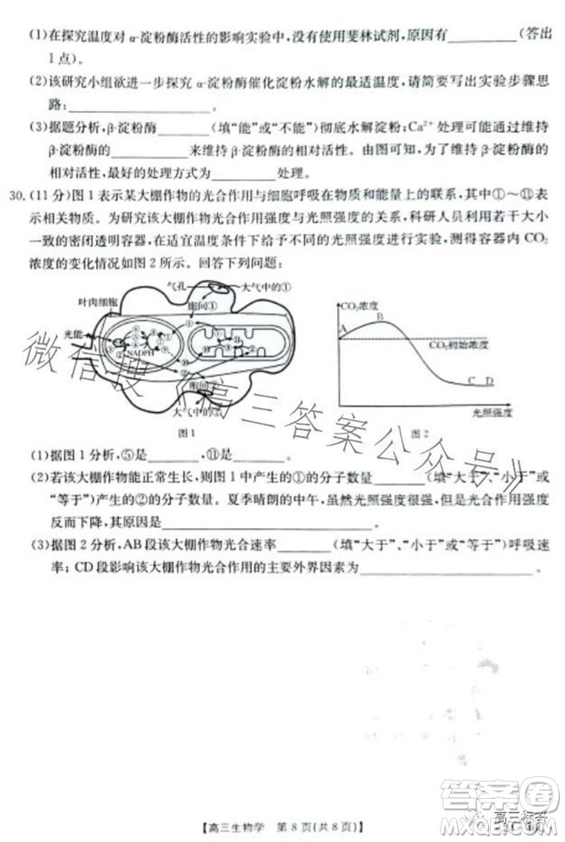 2024屆新疆金太陽聯(lián)考高三10月30日24-46C生物試卷答案