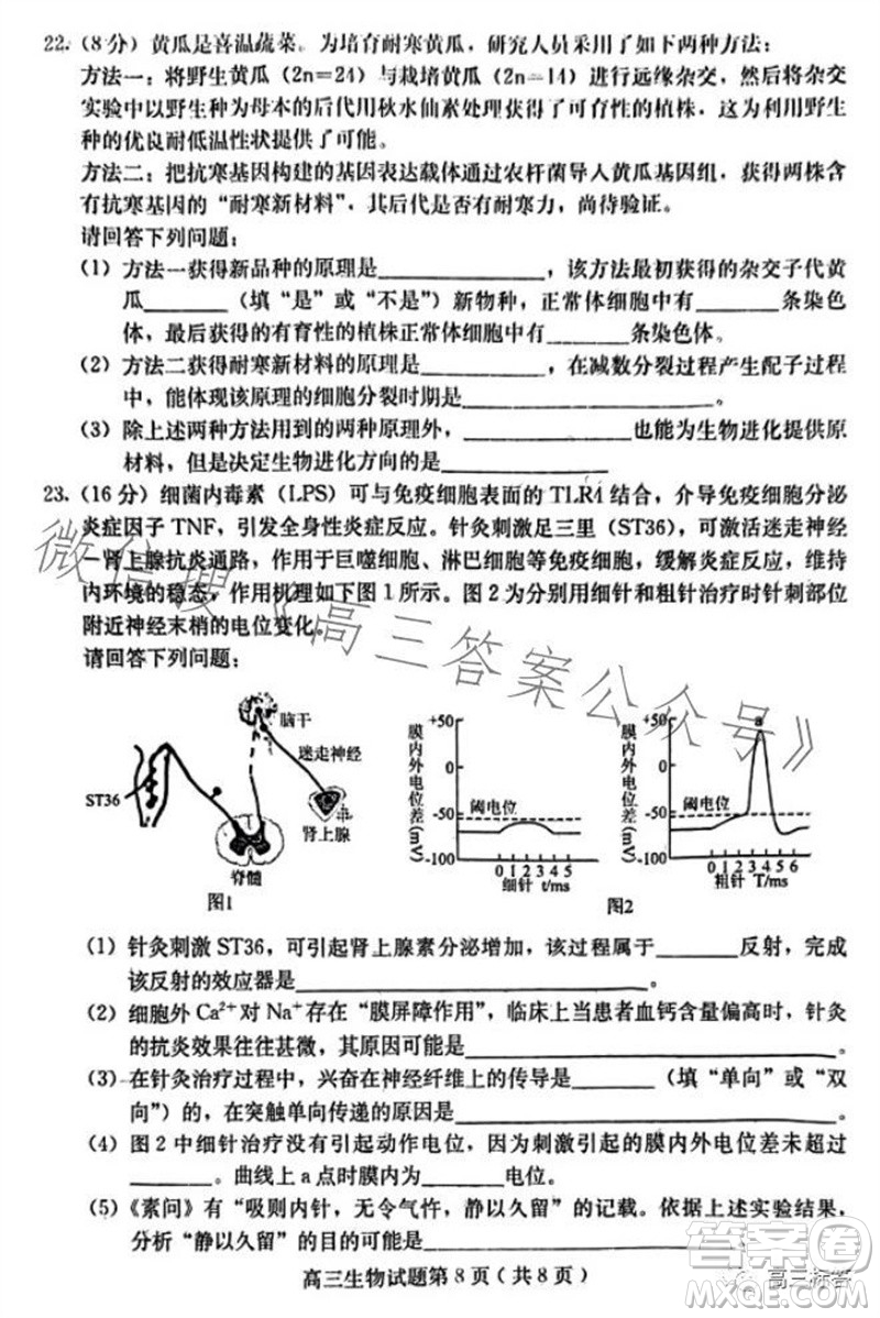 保定市2024屆高三10月份摸底考試生物試題答案