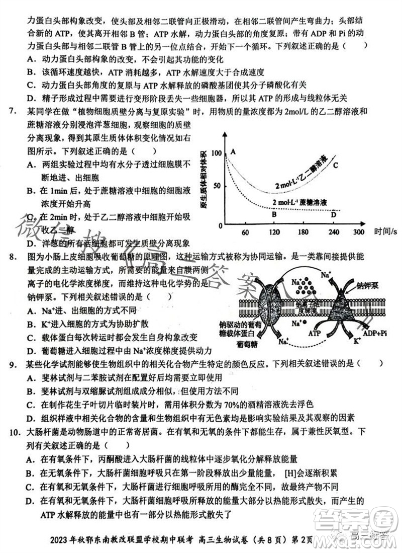 2023年秋鄂東南省級(jí)示范高中教育教學(xué)改革聯(lián)盟學(xué)校期中聯(lián)考高三生物試題答案