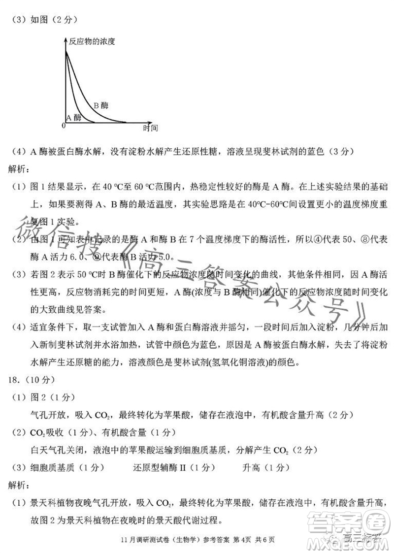 2024年普通高等學(xué)校招生全國統(tǒng)一考試11月調(diào)研測試卷重慶康德卷生物答案