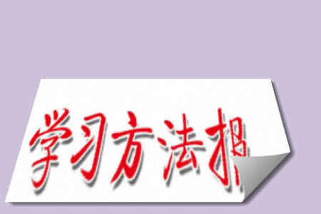 2023年秋學習方法報小學數(shù)學六年級上冊人教版期末專號參考答案