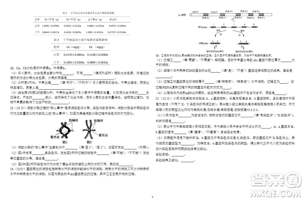 2024屆山東省高三年級(jí)適應(yīng)性聯(lián)考一生物試題答案