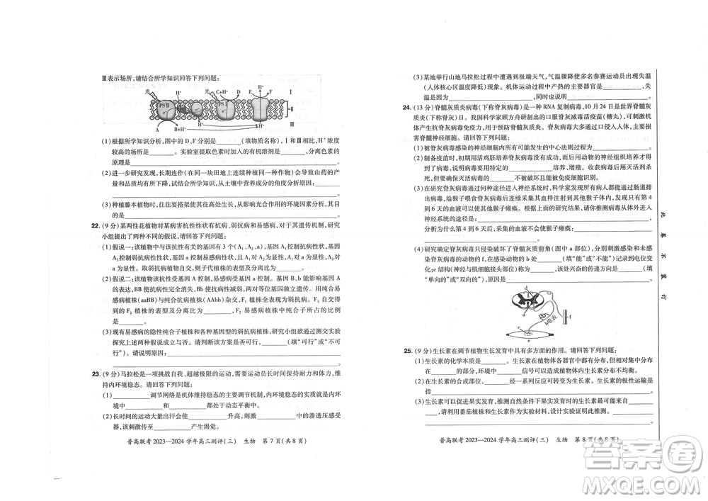 河南省普高聯(lián)考2023-2024學年高三測評三生物試卷答案