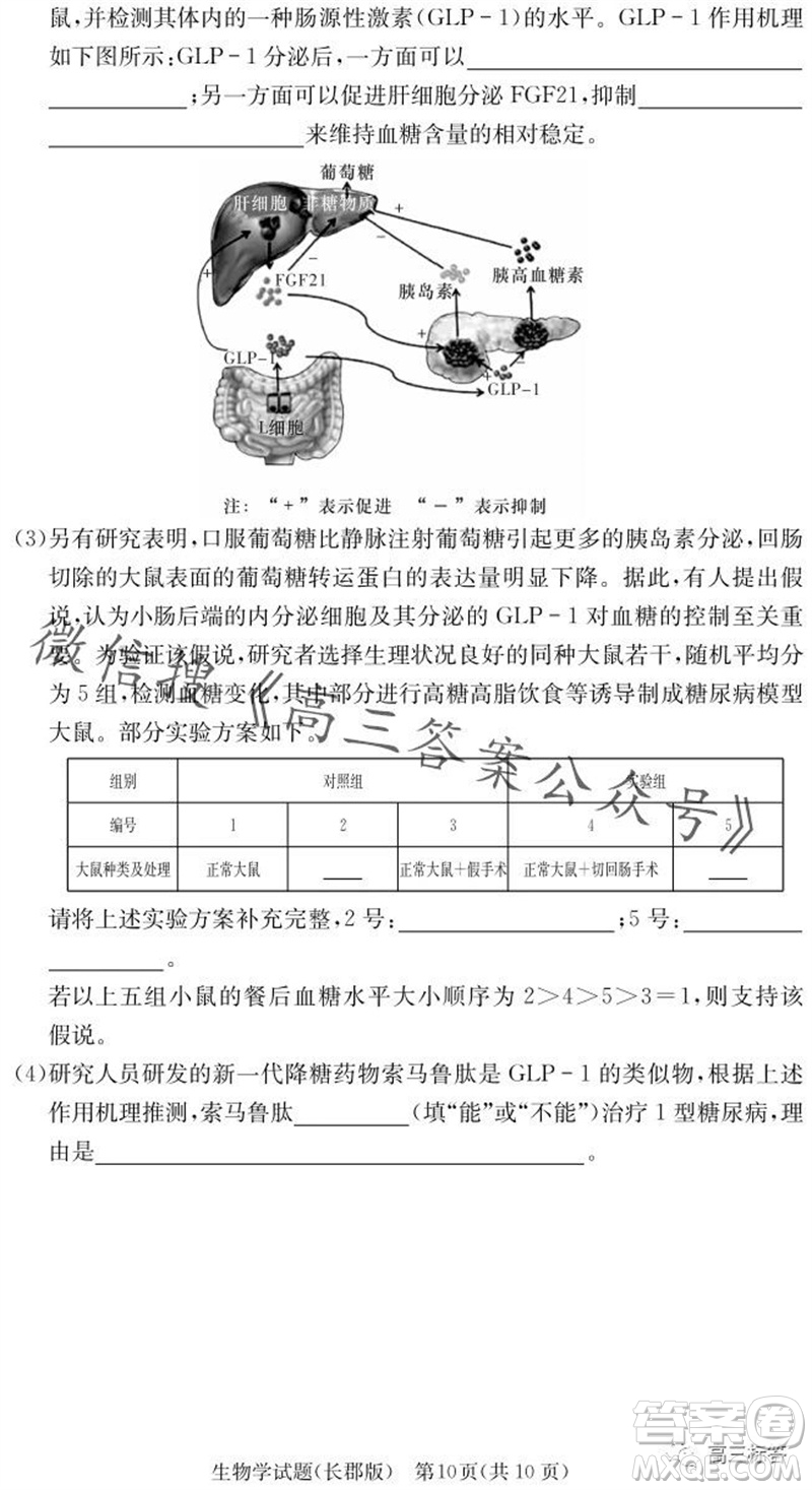 大聯(lián)考長(zhǎng)郡中學(xué)2024屆高三上學(xué)期月考試卷三生物試題答案