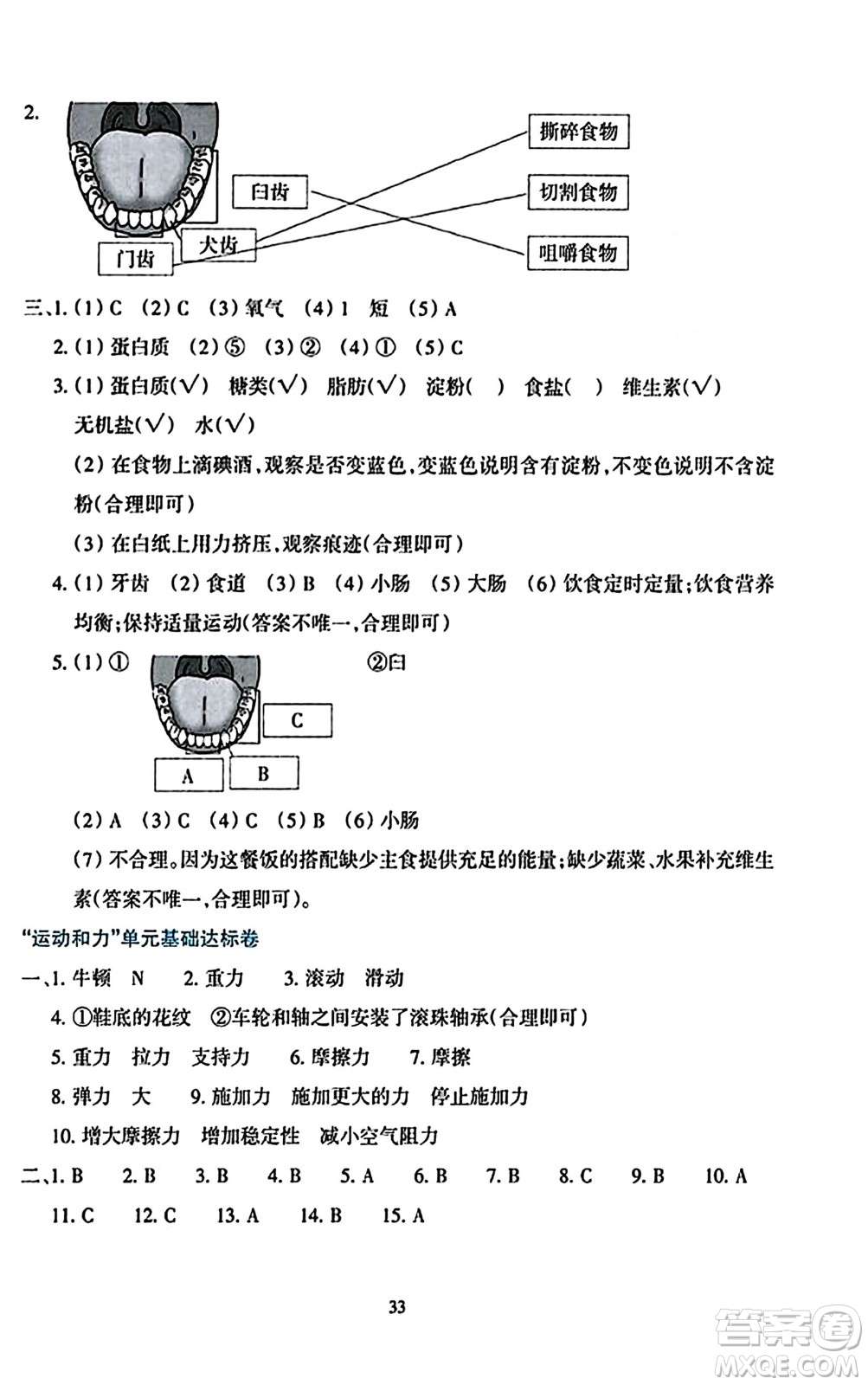 浙江教育出版社2023年秋學(xué)能評價四年級科學(xué)上冊教科版答案