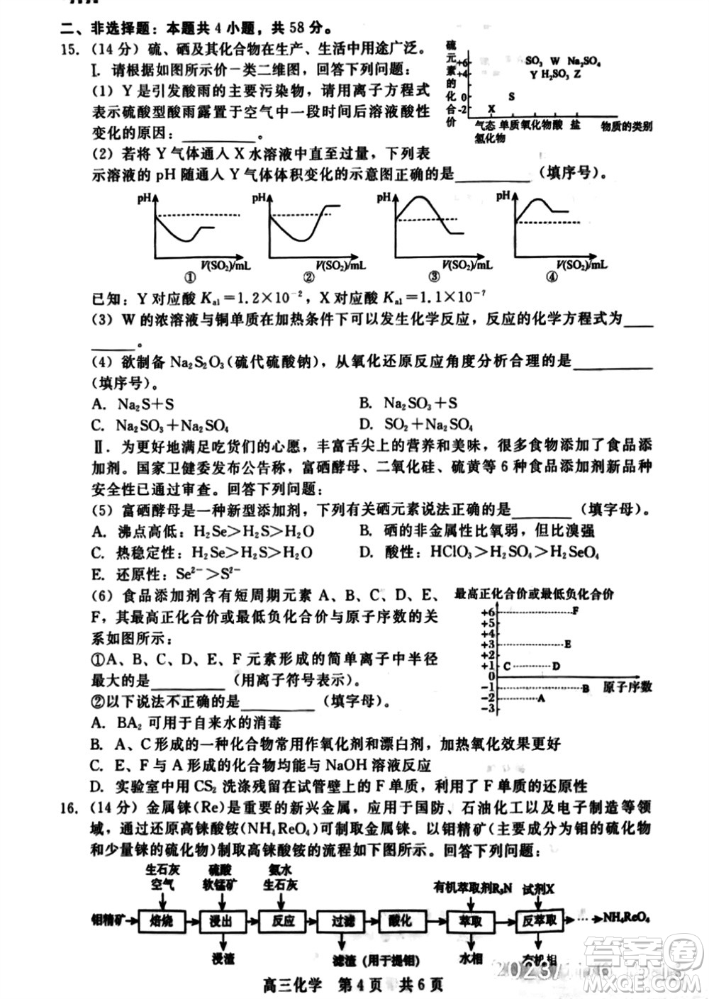 河北省新時代NT教育2024學(xué)年第一學(xué)期11月高三階段測試卷化學(xué)答案