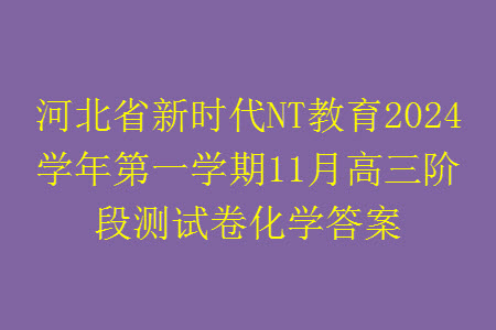 河北省新時代NT教育2024學(xué)年第一學(xué)期11月高三階段測試卷化學(xué)答案