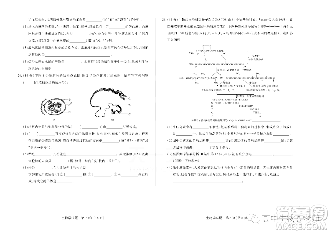 天一大聯(lián)考2022-2023學(xué)年高一上學(xué)期期中考試試題生物試卷答案