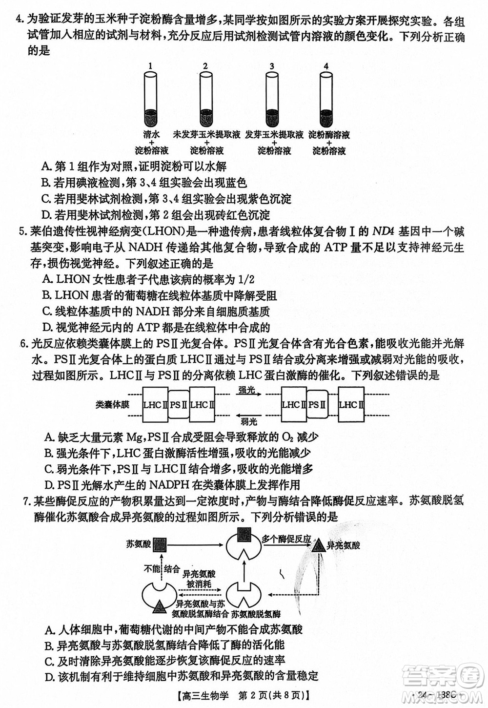 河北滄衡八校聯(lián)盟2024屆高三上學(xué)期期中考試金太陽138C生物試題答案