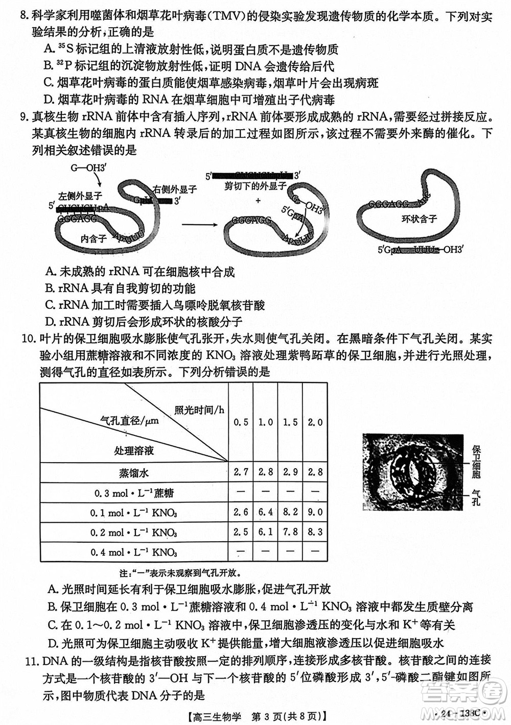 河北滄衡八校聯(lián)盟2024屆高三上學(xué)期期中考試金太陽138C生物試題答案