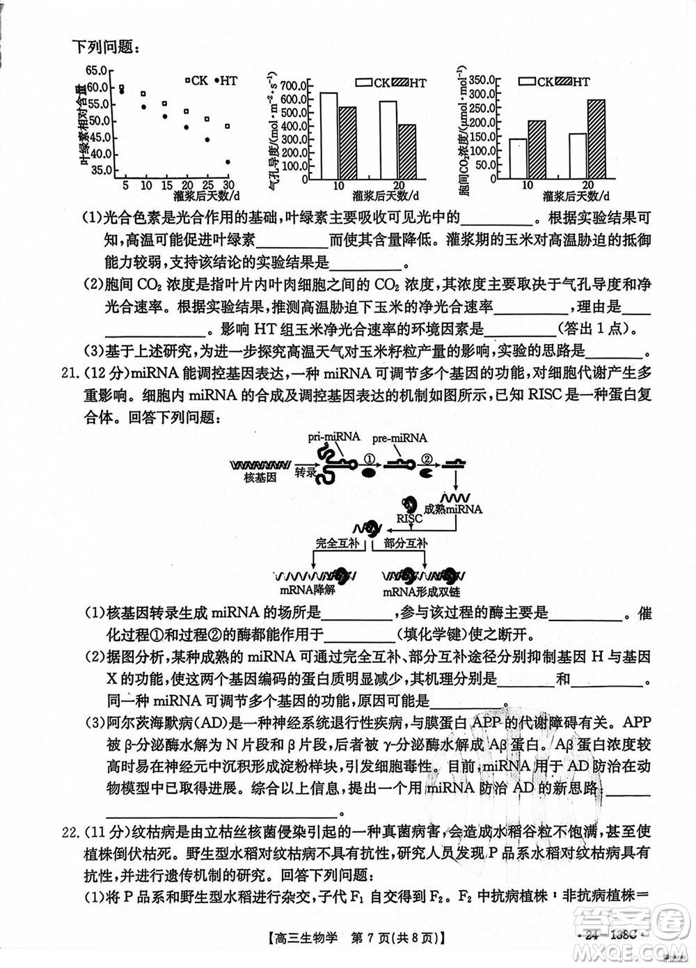 河北滄衡八校聯(lián)盟2024屆高三上學(xué)期期中考試金太陽138C生物試題答案