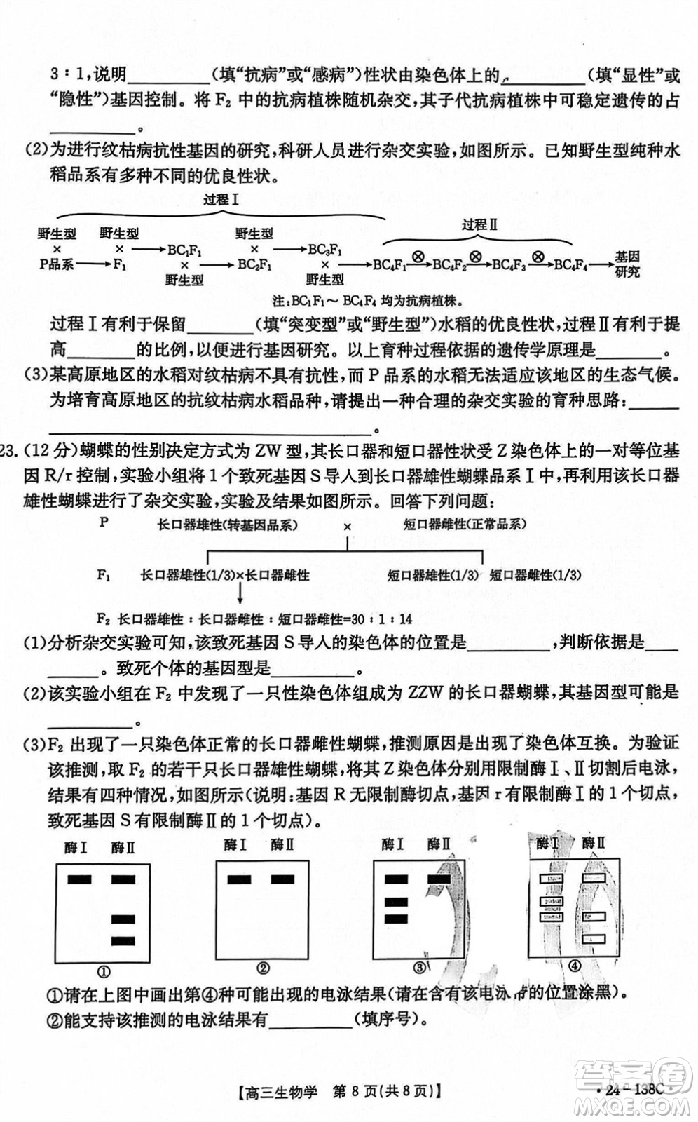 河北滄衡八校聯(lián)盟2024屆高三上學(xué)期期中考試金太陽138C生物試題答案