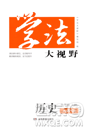 湖南教育出版社2023年秋學(xué)法大視野九年級歷史上冊人教版答案