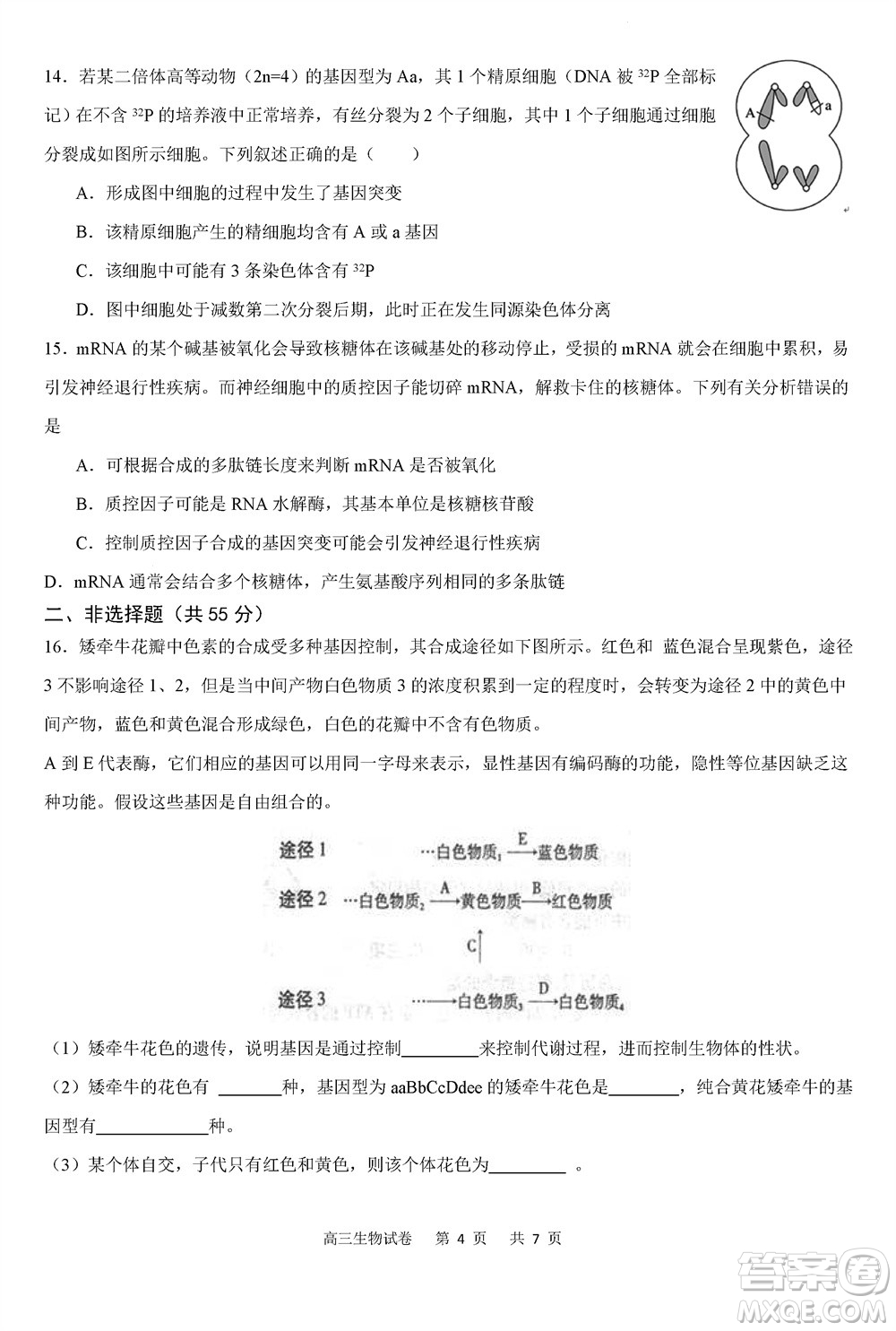 重慶市縉云教育聯(lián)盟2023-2024學(xué)年高三上學(xué)期11月質(zhì)量檢測(cè)生物答案