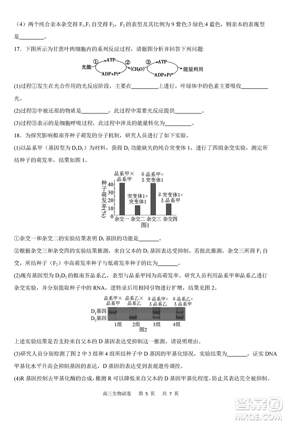 重慶市縉云教育聯(lián)盟2023-2024學(xué)年高三上學(xué)期11月質(zhì)量檢測(cè)生物答案