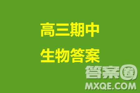 福建龍巖名校2023-2024學年高三上學期11月期中考試試題生物答案