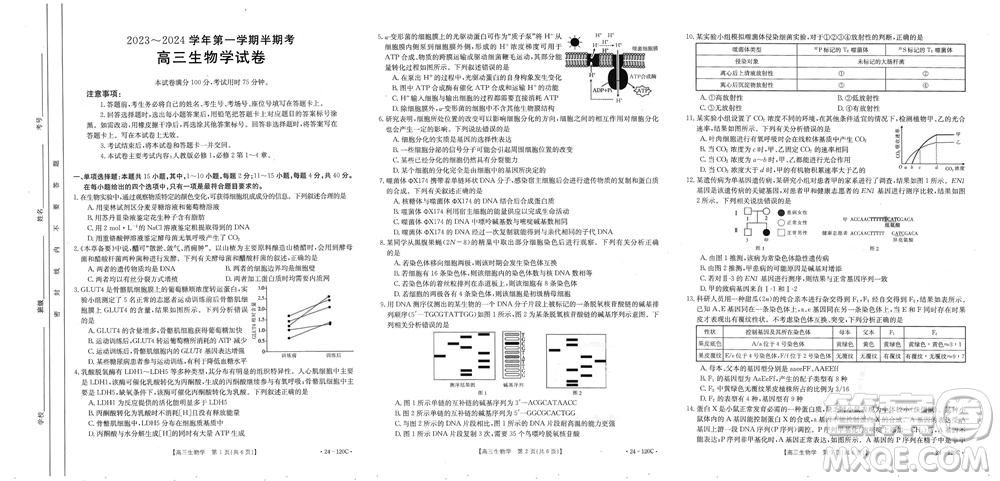 福建龍巖名校2023-2024學年高三上學期11月期中考試試題生物答案