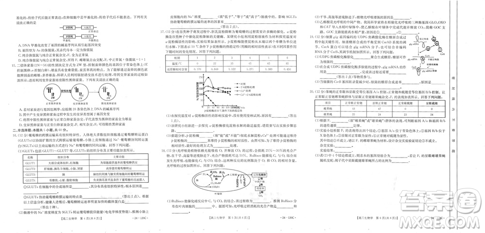 福建龍巖名校2023-2024學年高三上學期11月期中考試試題生物答案